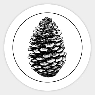 Pinecone - Black Sticker